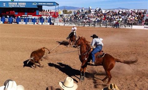 Fort Worth Rodeo: Making History, but Still Tough to Win | Fort worth ...