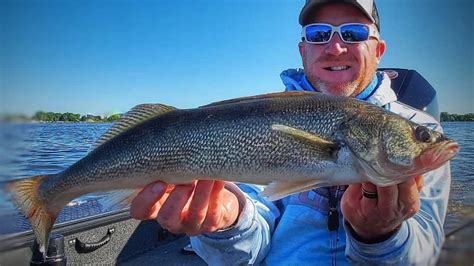 Lake Winnebago Fishing Report For Mid-June Walleye AnglingBuzz