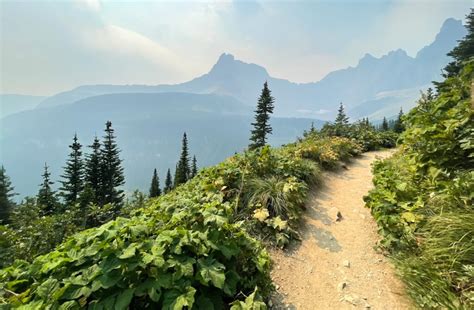 Guide to the Iceberg Lake Trail Hike in Glacier NP