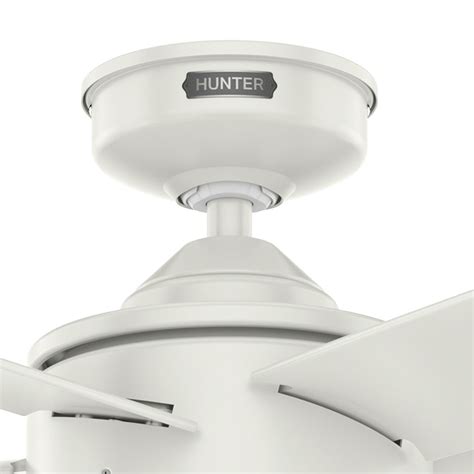 52 Hunter Ceiling Fan With Light | Shelly Lighting