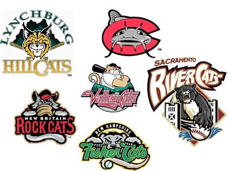 50 Most Original Minor League Baseball Team Names (2022)