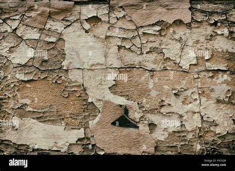 Broken Brick Wall Texture