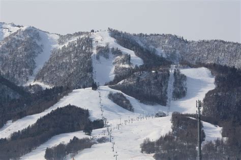 Ski Resort | Snow Furano - Ski in Furano