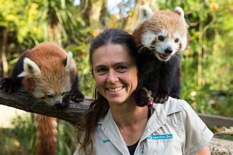 Red Panda Keeper Forges New Future for Species