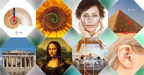 How to Use the Golden Ratio in Design (with Examples)