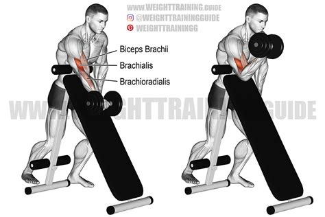 Standing dumbbell preacher curl exercise instructions and video