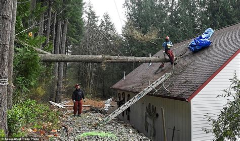 Storm in Washington leaves over 40,000 homes without power | Daily Mail ...