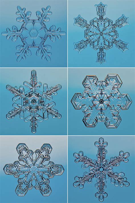 🔥 Microscopic view of snowflakes 🔥 : r/NatureIsFuckingLit