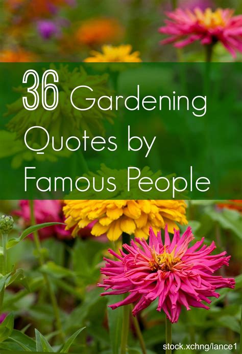 gardening quotes from famous people | Garden quotes signs, Gardening quotes inspirational ...