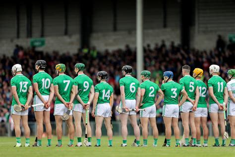 Limerick Hurling Team of the Decade: Goalkeeper - Sporting Limerick