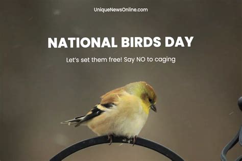 National Bird Day 2024 Theme, Slogans, Quotes, Images, Messages ...