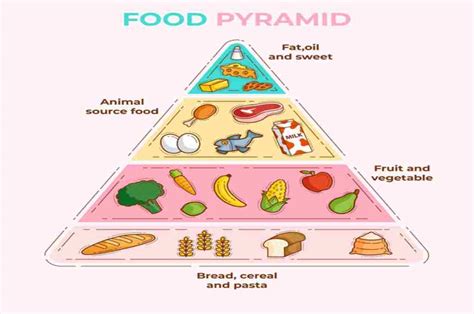 Piramida Makanan: Panduan Makan Sehat Beserta Contoh