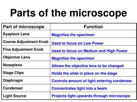 What is the purposes of staining microscopy - wiselio