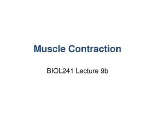 PPT - Types of Muscle Contraction PowerPoint Presentation, free ...