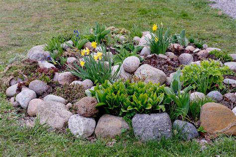 Landscaping Ideas With Rocks