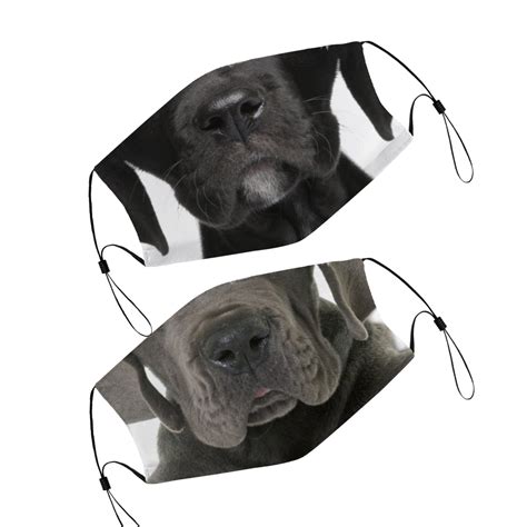 Great Dane Face Mask With Filter Pocket and Nose Wire - Etsy | Great ...