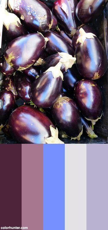 Eggplant Color Palette | Eggplant color scheme, Eggplant color, Eggplant