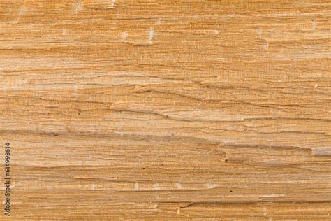 Birch wood texture Stock Photo | Adobe Stock