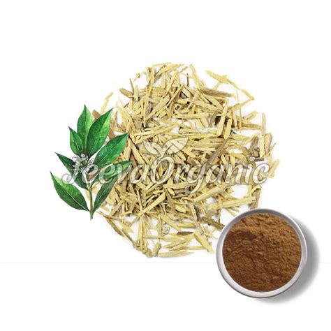 Muira Puama Extract Powder Supplier | Bulk Muira Puama Extract Powder