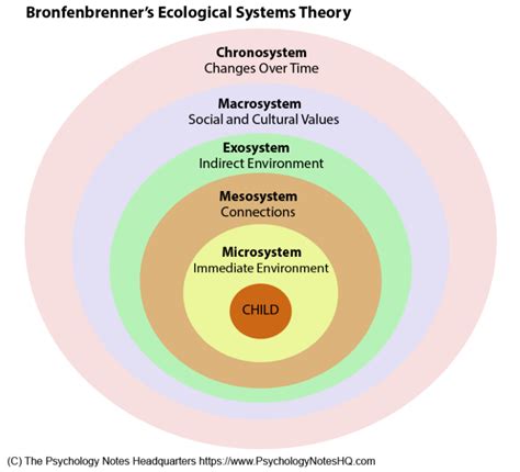 2.2 Ecological-systems: Key concepts