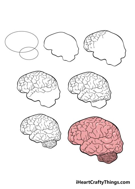 Brain Drawing - How To Draw A Brain Step By Step