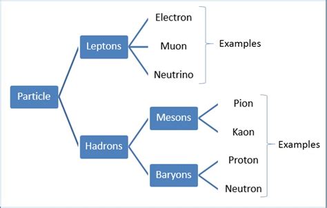 Classification Of Particles | Hadrons, Baryons, Mesons, Leptons Notes