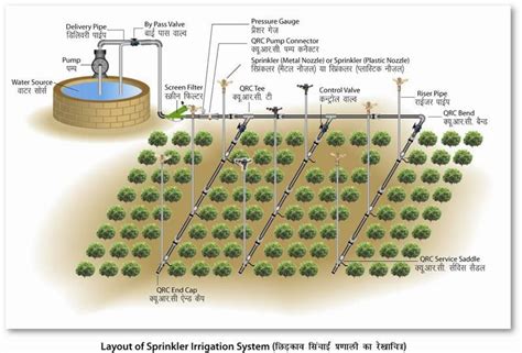 Sprinkler Irrigation System - Irrigation Experts