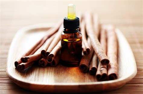 Cinnamon - The unknown leader among spices - Healthyliving from Nature - Buy Online