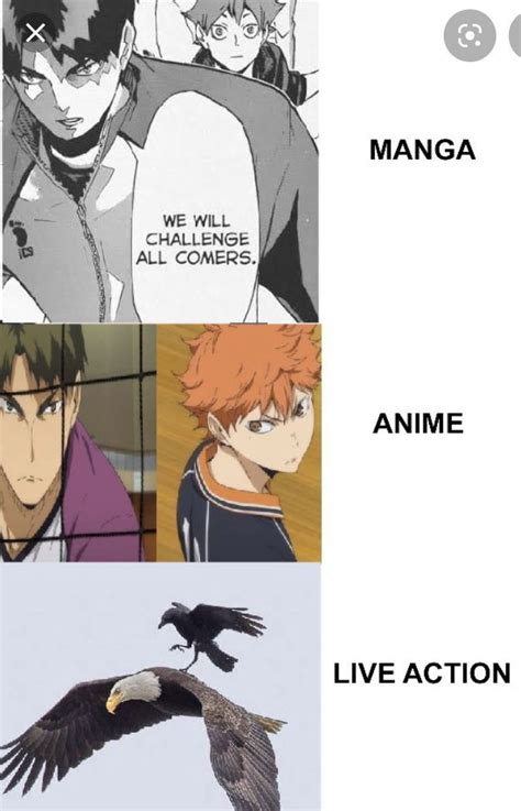 Haikyuu Meme Book | Haikyuu, Haikyuu anime, Haikyuu tsukishima