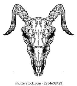 Black White Drawing Rams Skull Horns Stock Illustration 2234632423 ...