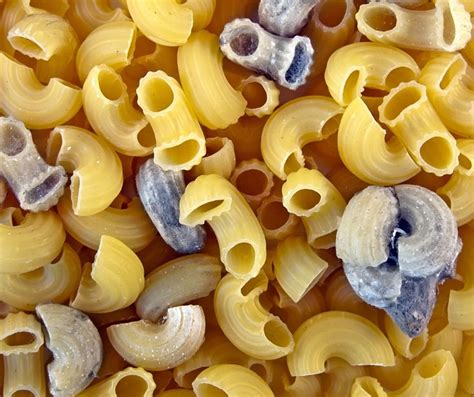 Does Pasta go Bad? How to Tell if Them Noodles Are OFF - The Proud Italian