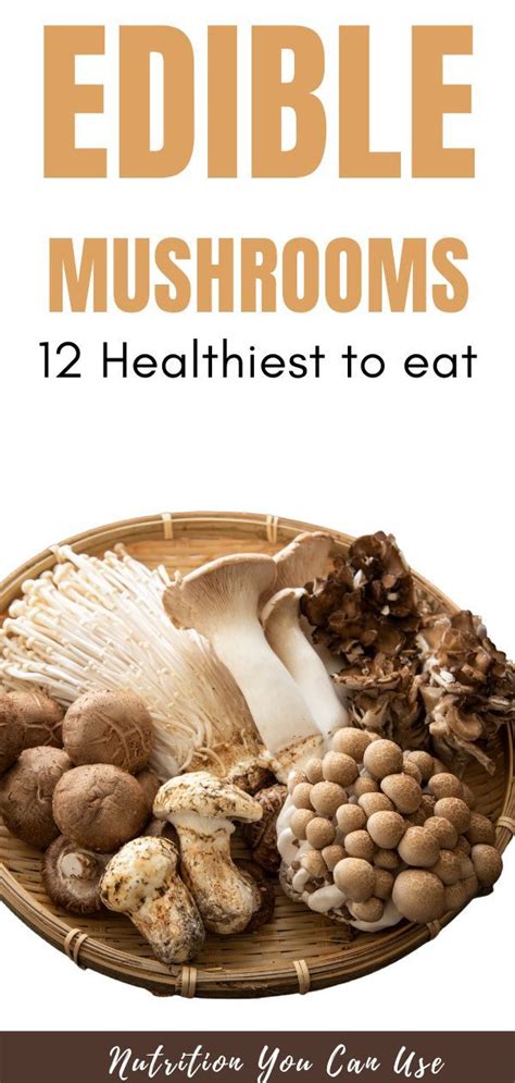 The 12 Healthiest Mushrooms That You Can Eat in 2021 | Food health benefits, Healthy, Most ...