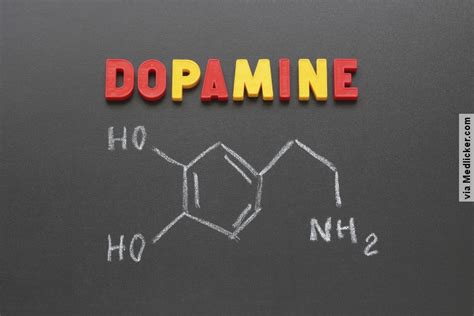 Low dopamine (e.g. dopamine deficiency): causes, symptoms, diagnosis and treatment options ...