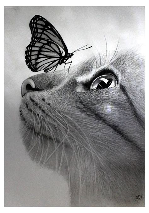 #realistic #drawings #of #animals #realisticdrawingsofanimals | Animal ...