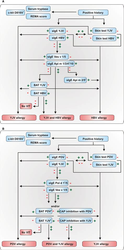 Frontiers | Precision Medicine in Hymenoptera Venom Allergy: Diagnostics, Biomarkers, and ...