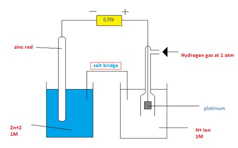 Draw a labelled diagram of standard hydrogen electrode.