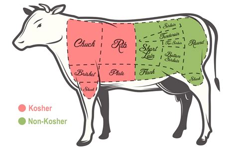 Kosher Meat Questions Answered – The Forward