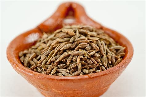 Buy Fresh Cumin Seed - The Spice Station Online Shop