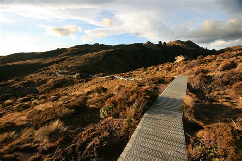 Hump Ridge Track Photos | Hiking NZ