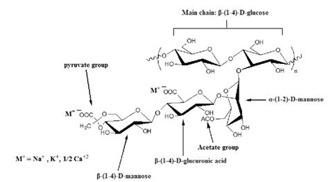 The chemical structure of Xanthan gum. | Download Scientific Diagram