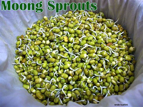 Ende Kushini: Moong Sprouts - Green Gram Sprouts - How to make at home