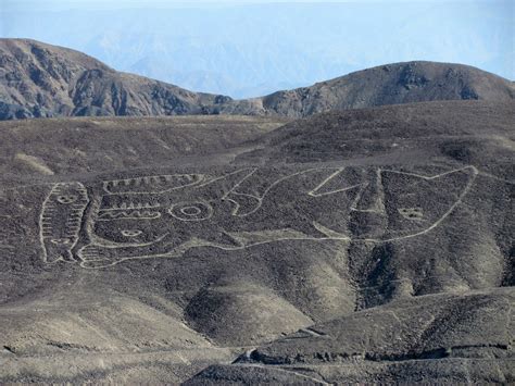 Reencuentran el geoglifo de una Orca en el desierto de Perú