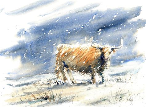 Highland Cow Art - Highland cow in Snow - Wall art - Framed or unframed