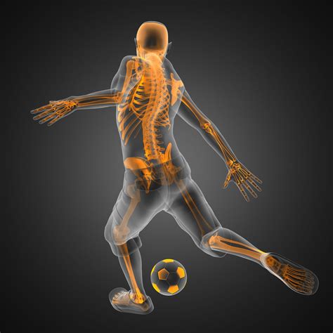 Sports Chiropractic