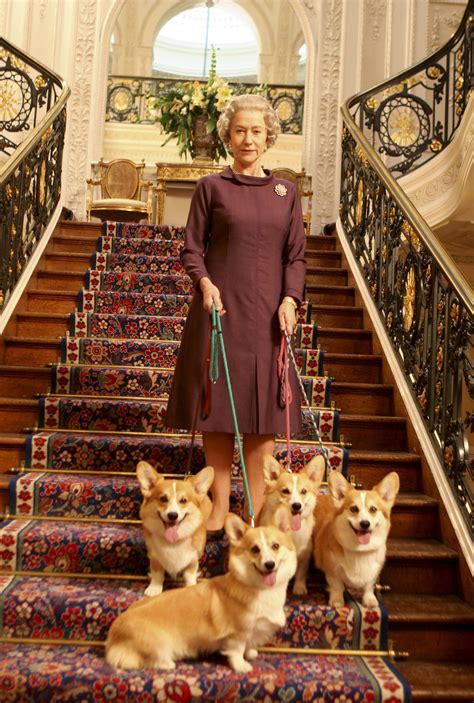 Helen Mirren in "The Queen" 2006 | Corgi, Corgi dog, Welsh corgi