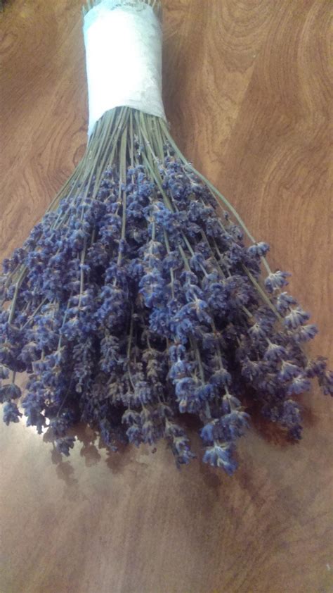 Dried Lavender Wedding Bouquets - Dried English Lavender, Bouquet, Wholesale, Brides And ...