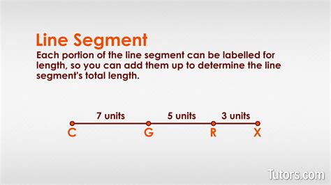 Stunning Tips About What Are Five Examples Of Line Segments D3 V5 Area ...