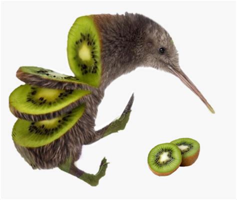 #kiwi #bird #kiwibird #birdkiwi - Sliced Kiwi Bird, HD Png Download - kindpng