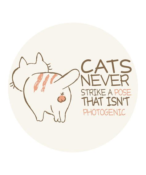 Funny cats quote funny cat quotes funny cat meme sarcastic cat texting ...