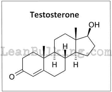 Best Testosterone Boosters For Women 2021 | Full Expert Female Guide